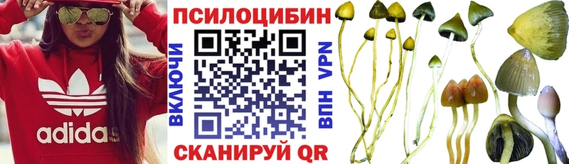 Галлюциногенные грибы мухоморы  где можно купить наркотик  Саки 